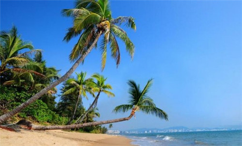 川蜀香重庆老火锅