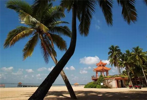 大健康10大品牌，大健康品牌哪个好