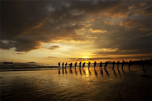电动汽车品牌排名