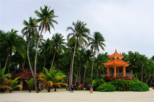 在绥江县加盟柠檬街奶茶开店多久回本