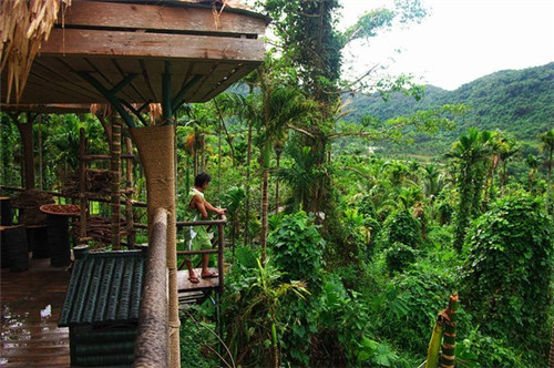 阿胶的十大故事是什么（阿胶的神话）