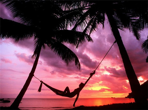 什么去装修气味最有效（什么去装修异味的效果好）